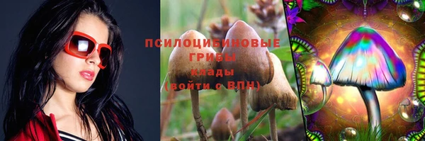 spice Арсеньев