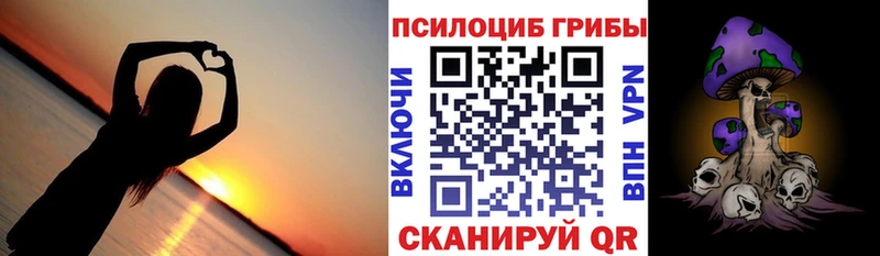 Купить закладки  Уржум  Галлюциногенные грибы ЛСД 